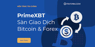 Unlock Your Trading Potential with PrimeXBT Promo Code